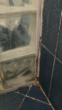 Mold Inspection and Removal - Cleaning