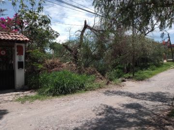 Land clearance specialist