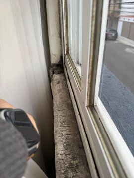 Mold Removal Expert - Domestic Services