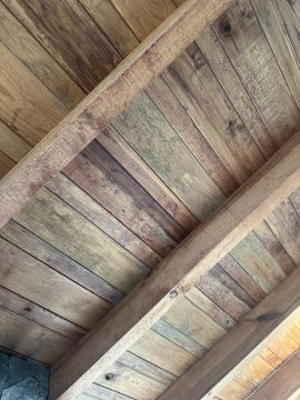Mold Inspection and Removal