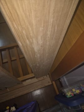 Inspección y eliminación de moho - Limpieza