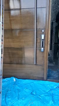 Door Painter