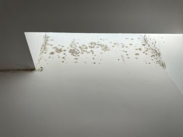 Cleaning