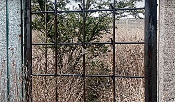 Land clearance specialist