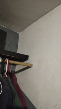 Inspección y eliminación de moho