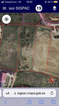 Land Surveyor