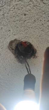 Fan Installer