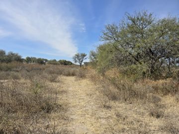 Land clearance specialist