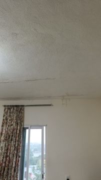 Albañil para construcción