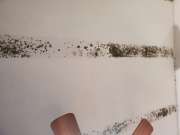 Mold Removal Expert