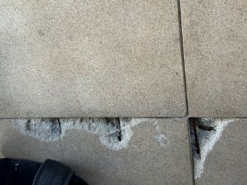Professional - Home Improvements