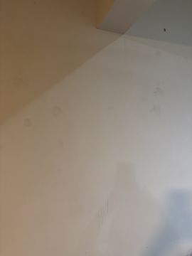 Inspección y eliminación de moho