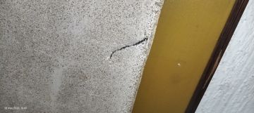 Restauración de obras de arte