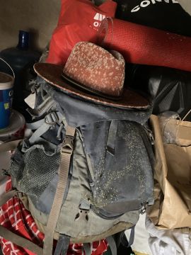 Mold Removal Expert