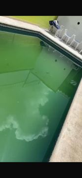 Pool Cleaner - Home Improvements