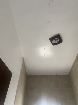 Mold Removal Expert