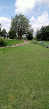 Sprinkler System Installation