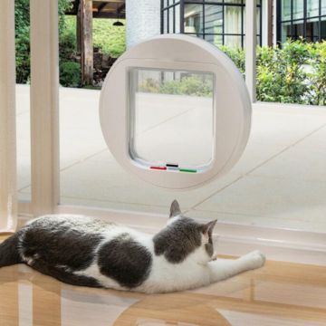 Instalador de puertas para mascotas