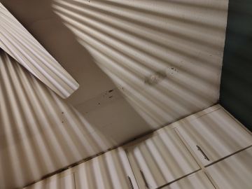 Mold Inspection and Removal