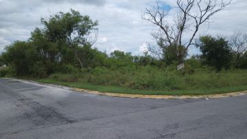 Land Clearance