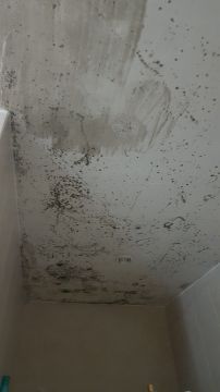 Cleaning