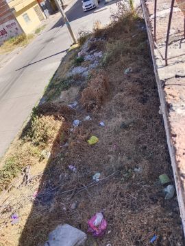 Land clearance specialist