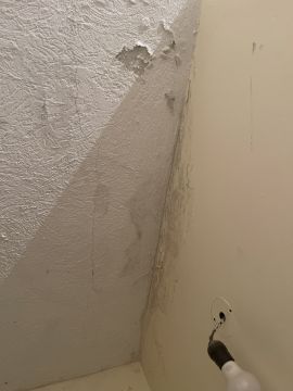 Mold Removal Expert - Domestic Services