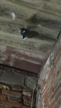 Roof Pro