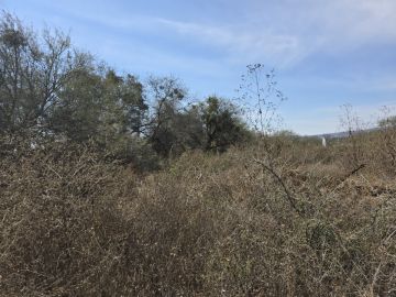 Land clearance specialist - Home Improvements