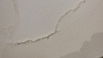 Mold Removal Expert - Domestic Services