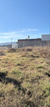 Land clearance specialist