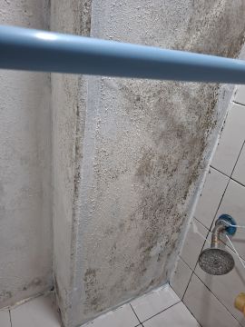Inspección y eliminación de moho
