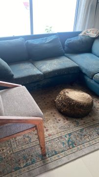 Inspección y eliminación de moho