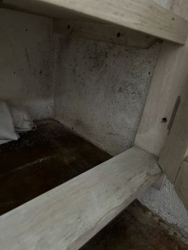 Mold Removal Expert