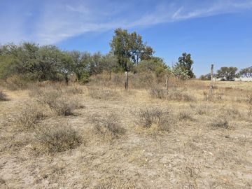 Land Clearance - Lawncare