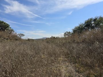 Land Clearance