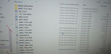 Data Recovery Service