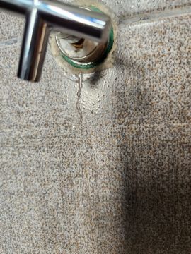 Mold Inspection and Removal