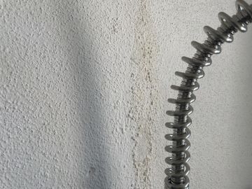 Inspección y eliminación de moho