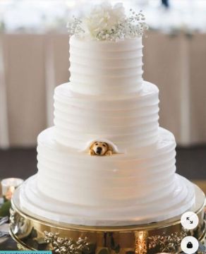 Wedding Cakes