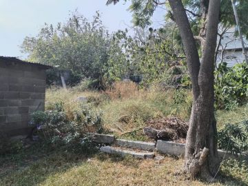 Empresa de limpieza de terrenos