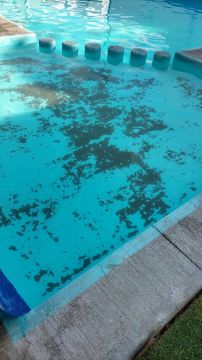 Swimming Pool Repair