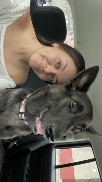 Dog Hotel