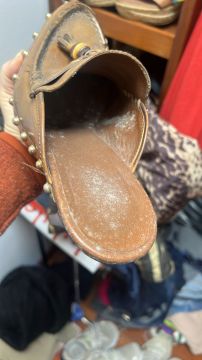 Mold Inspection and Removal