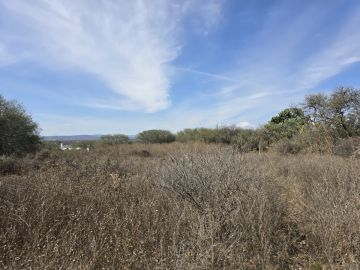Land clearance specialist