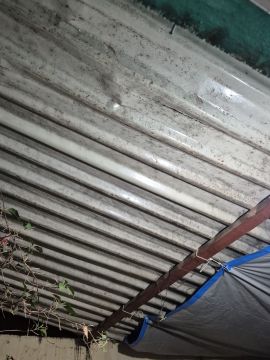 Asbestos Removal