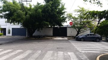 Tree Trimming and Maintenance