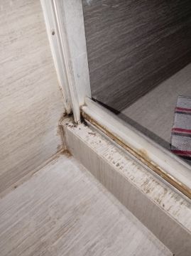 Inspección y eliminación de moho