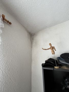 Mold Inspection and Removal - Cleaning