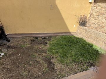 Lawn Mowing and Trimming